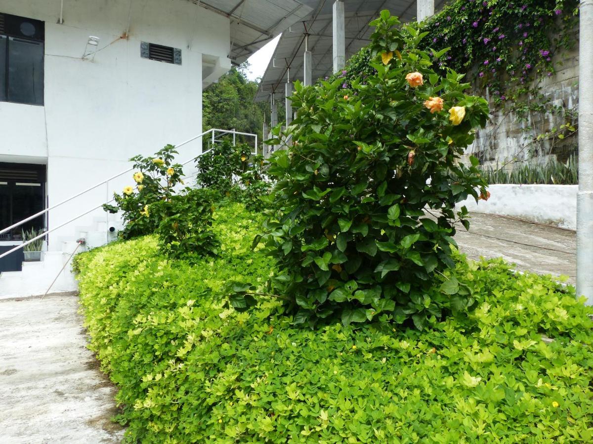Hotel Campo Godoy Doradal Exterior foto